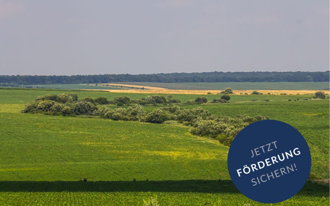 Förderlandschaft für Kommunen in Deutschland – Überblick, Programme und Chancen
