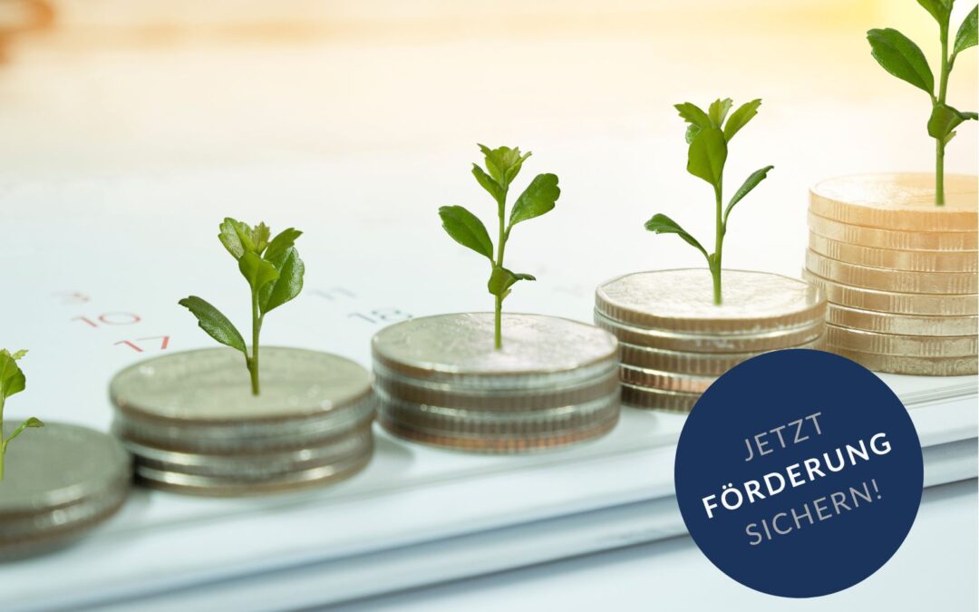 Fördermittelmanagement in Kommunen – Strukturen, Prozesse und Erfolgsfaktoren