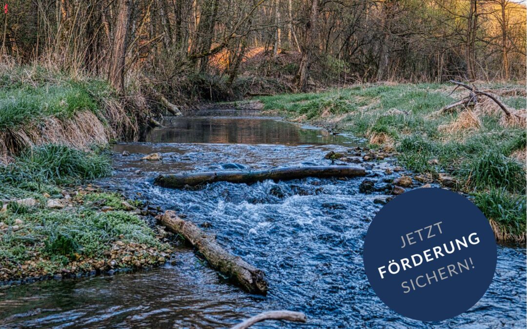 Wasser-, Abwasser- und Infrastrukturprojekte für Kommunen – Fördermöglichkeiten im Überblick